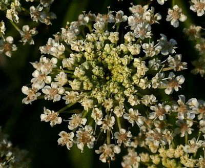 170527-03.jpg