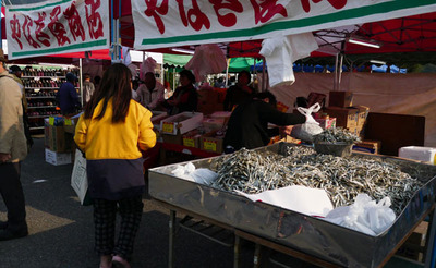 171103-23.jpg