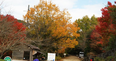171119-07.jpg