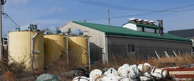 180107-10.jpg