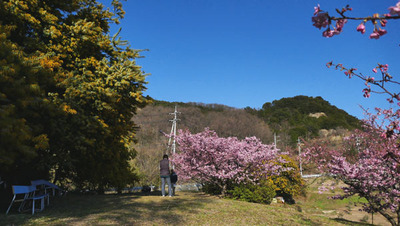 180311-01.jpg