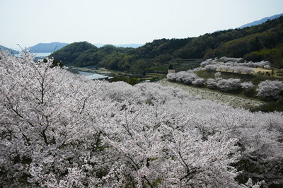 180401-15.jpg
