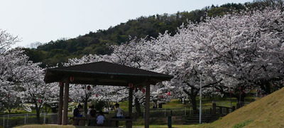180401-16.jpg