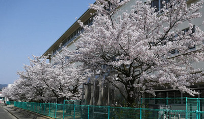 180401-17.jpg