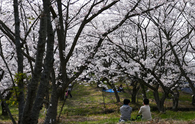 180401-19.jpg