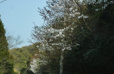180401-21.jpg