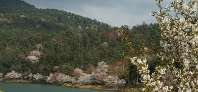 180407-15.jpg