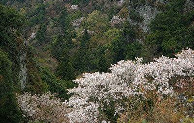 180407-19.jpg