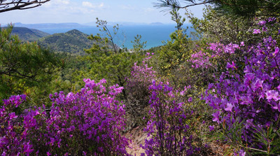 180407-23.jpg