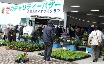 180414-18.jpg
