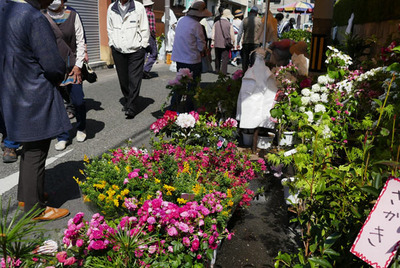 180421-04.jpg