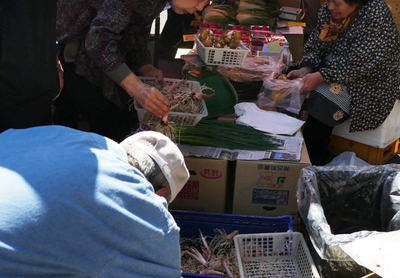 180421-06.jpg