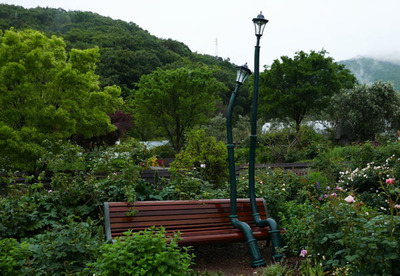 180513-05.jpg
