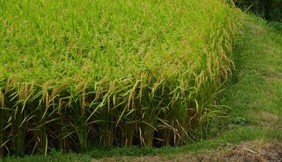 180814-18.jpg