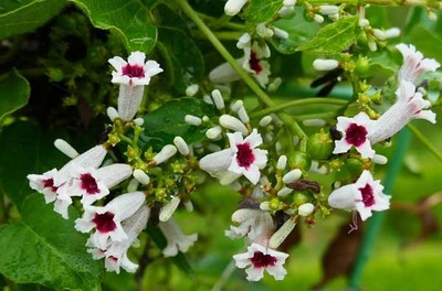 180826-06.jpg