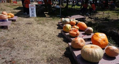 180916-05.jpg
