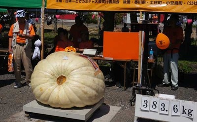 180916-07.jpg