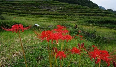 180916-20.jpg
