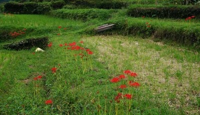180916-22.jpg