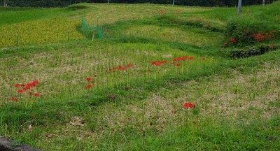 180916-23.jpg