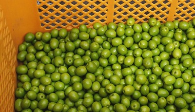 181007-04.jpg
