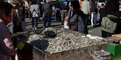 181103-25.jpg