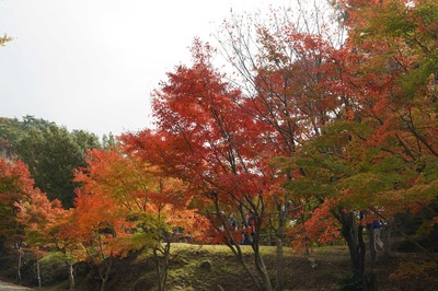 181103-29.jpg