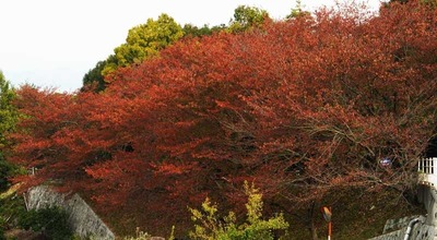 181103-34.jpg