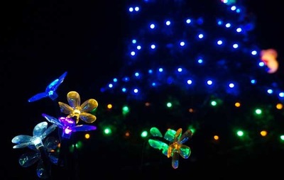 181110-08.jpg