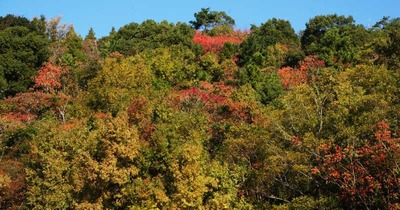 181110-18.jpg