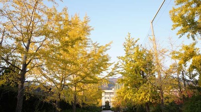 181110-19.jpg