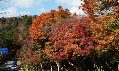 181118-14.jpg