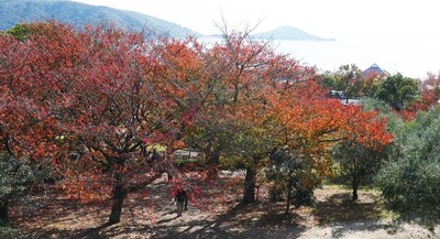 181118-16.jpg