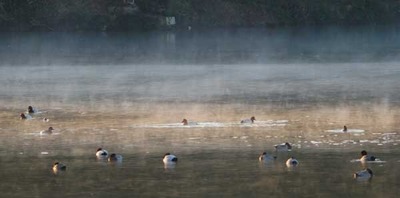 181216-04.jpg