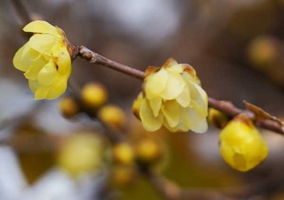 190106-10.jpg