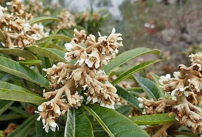 190106-17.jpg