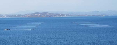190127-08.jpg
