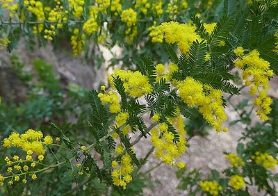 190203-01.jpg