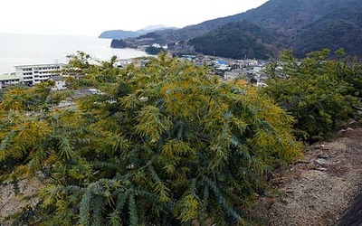 190203-03.jpg