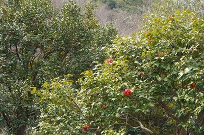 190203-07.jpg