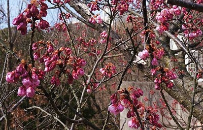 190216-16.jpg
