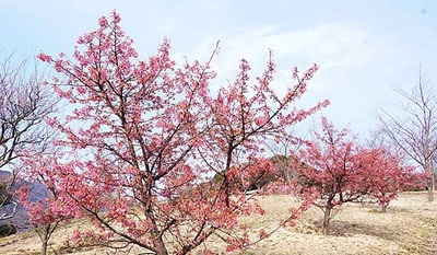 190216-18.jpg