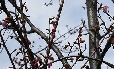 190223-08.jpg