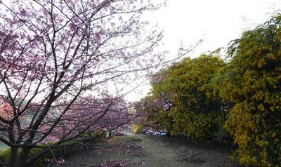 190223-09.jpg