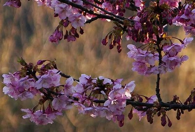 190223-10.jpg