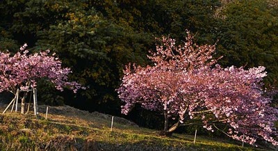 190223-11.jpg
