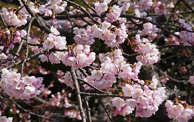 190303-09.jpg