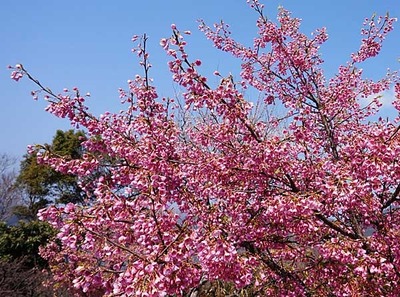 190303-11.jpg
