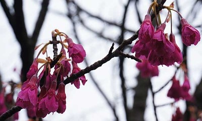 190303-13.jpg