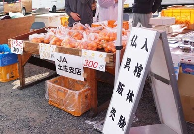 190317-03.jpg